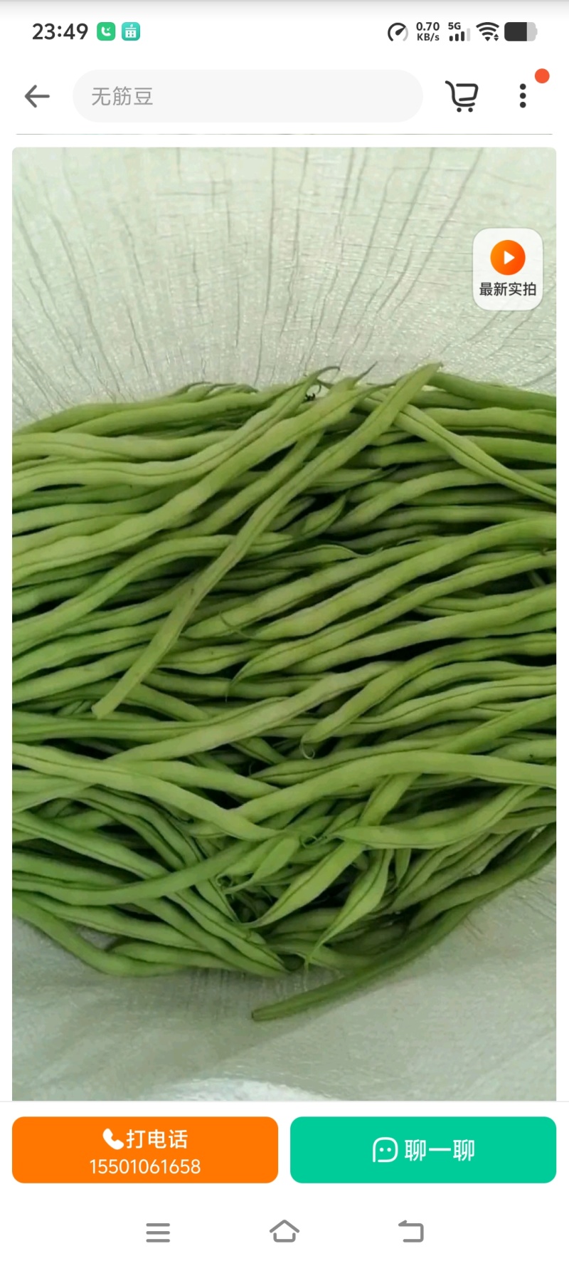 陇南成县本地架豆王豆角无茎豆产地直供可分拣装