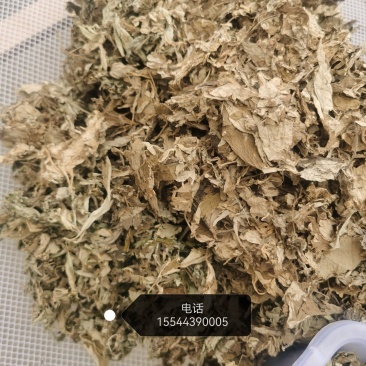 优质野生艾叶手工挑选