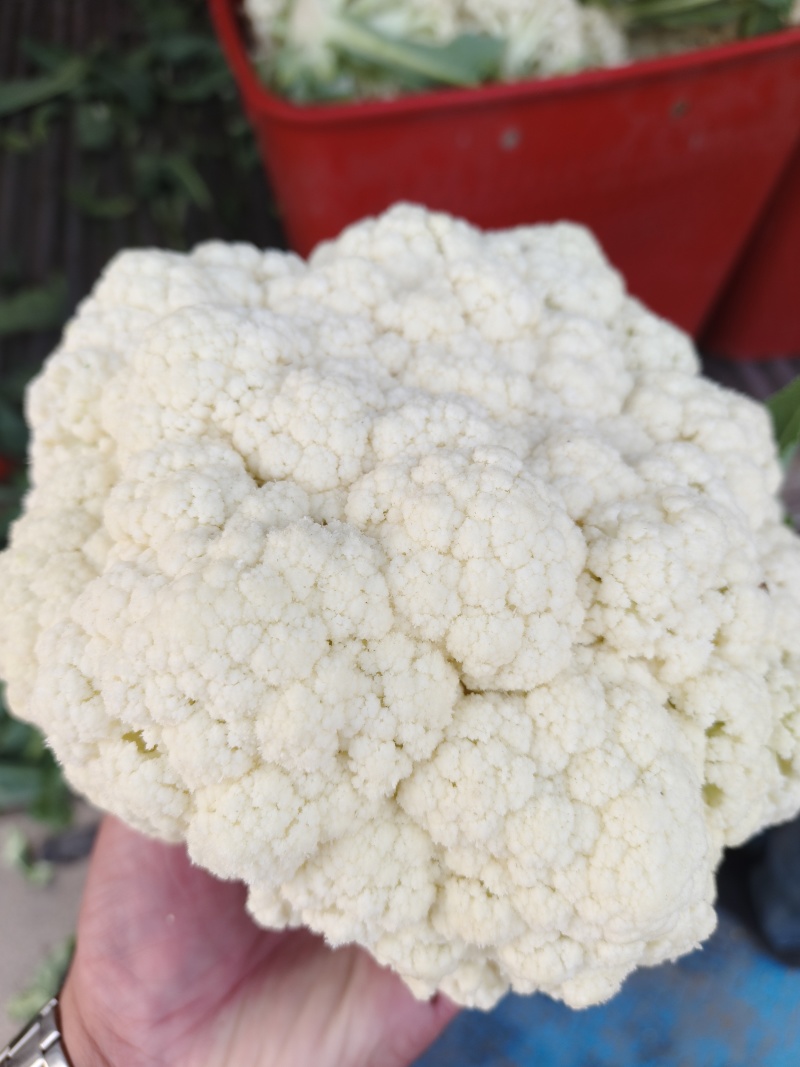 菜花