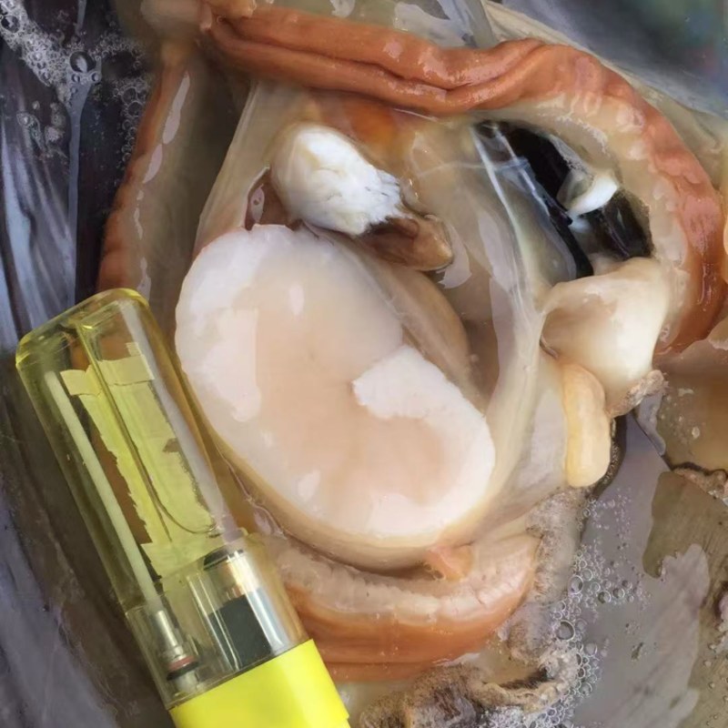 带子来了他从海里走来了