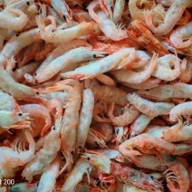 新货，麦杆虾，蹦蹦虾