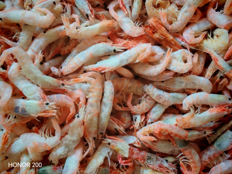 新货，麦杆虾，蹦蹦虾