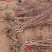 不环剥抗裂果蟠枣苗基地，纯嫁接枣树苗易管理