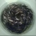 斑鳜鱼苗