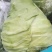 甘蓝