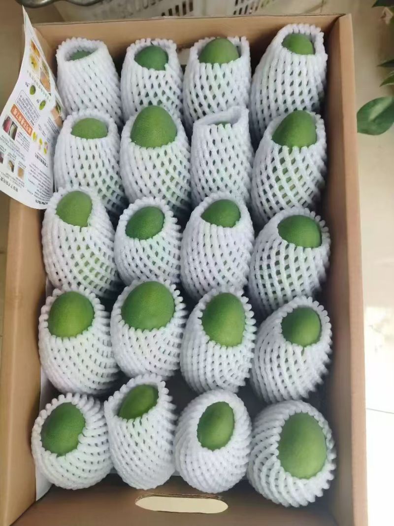 芒果