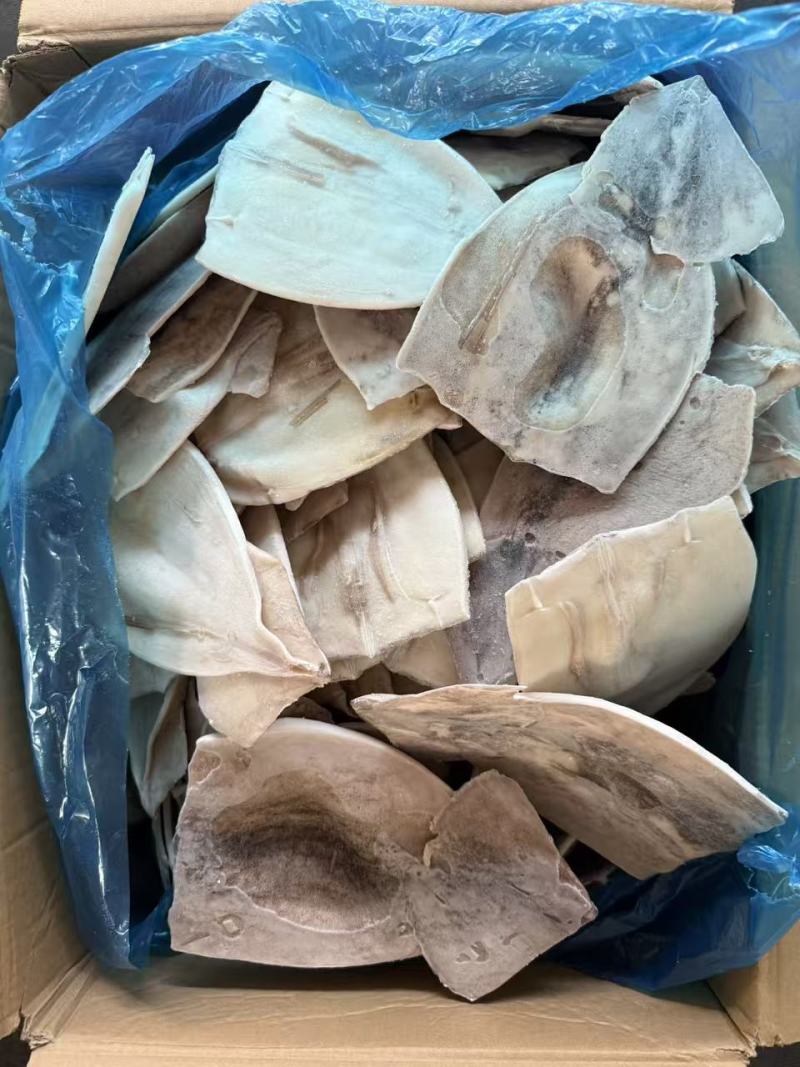 鱿鱼开片200/300规格