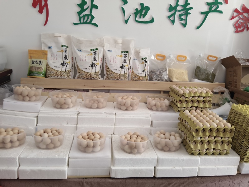 宁夏盐池农家散养土鸡蛋现捡新鲜蛋黄软糯无饲料