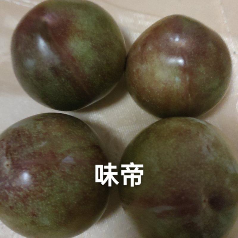 味帝李子今年大降价啦！个头大，好吃不贵