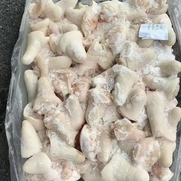 一级丁尾