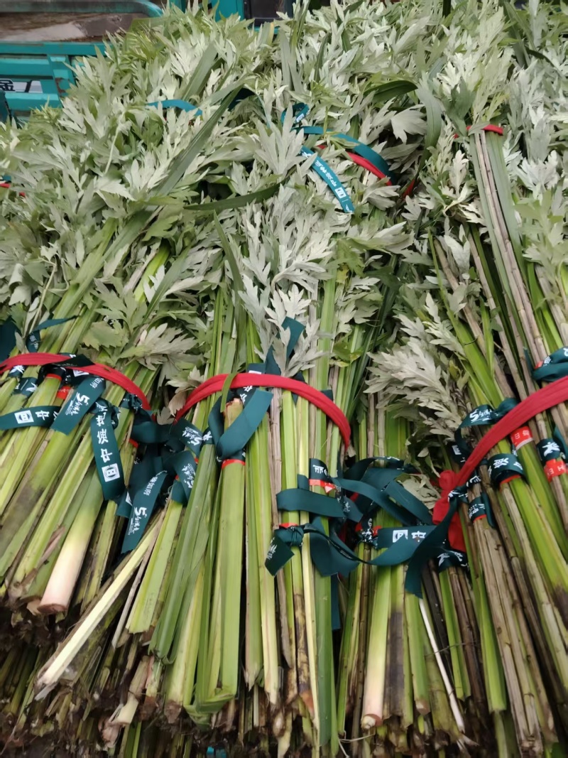 【推荐】艾草产地一手货源保质保量对接全国等