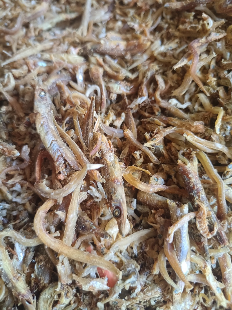 鱼干