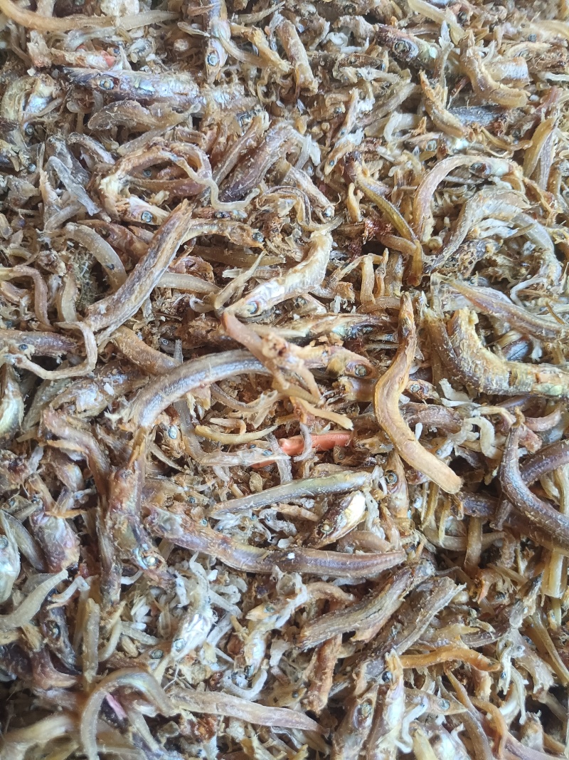 鱼干