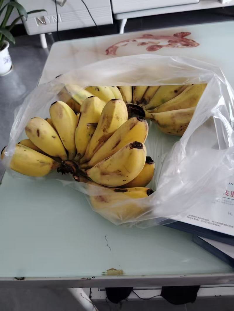 广东苹果香蕉价格美丽质量好走货快对接全国量大从优