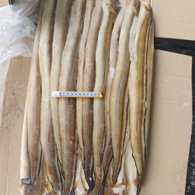 山东威海石岛七星鳗鱼，油鳗鱼片