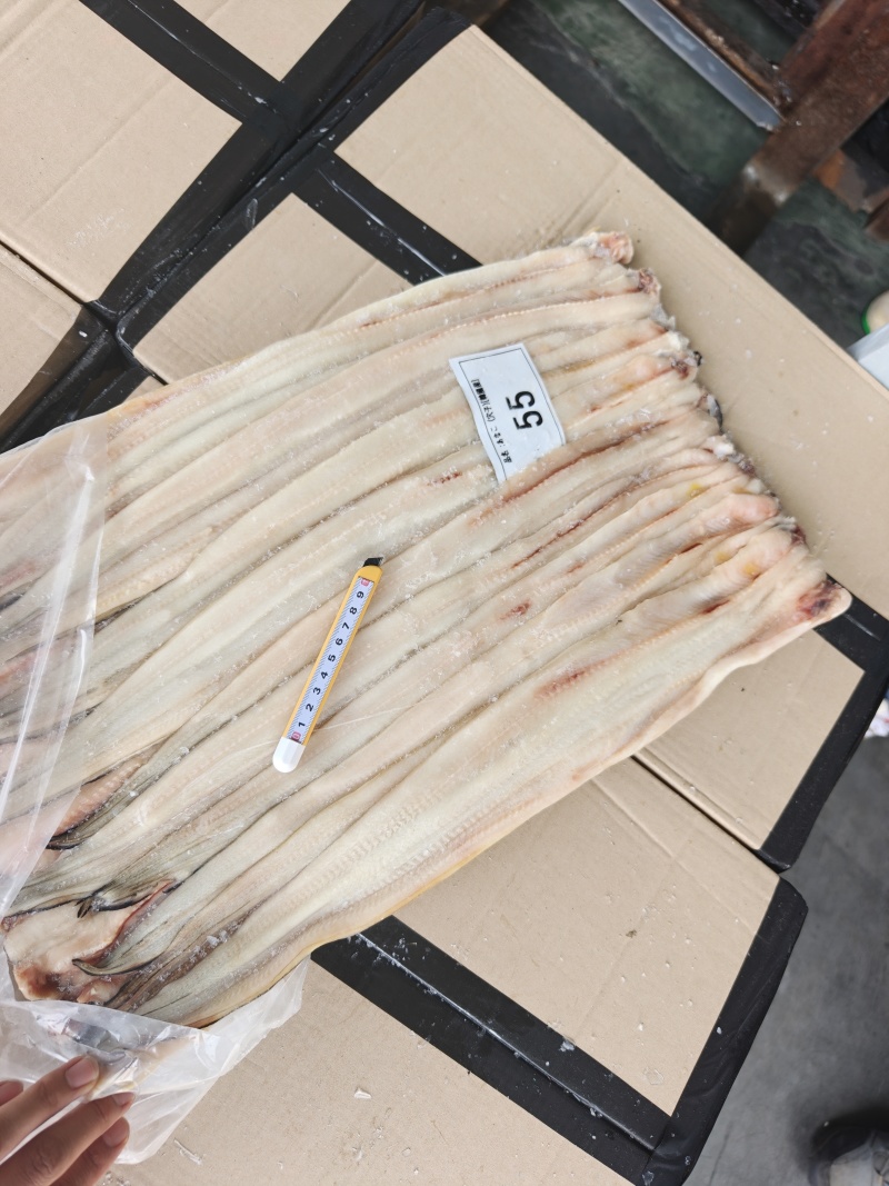山东威海石岛七星鳗鱼，油鳗鱼片