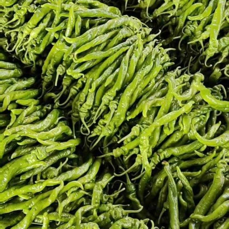 螺丝椒