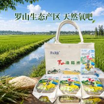 “碧天凝露”牌罗山渔稻米真空包装3kg生态种植