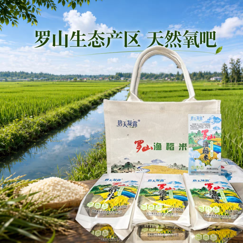“碧天凝露”牌罗山渔稻米真空包装3kg生态种植