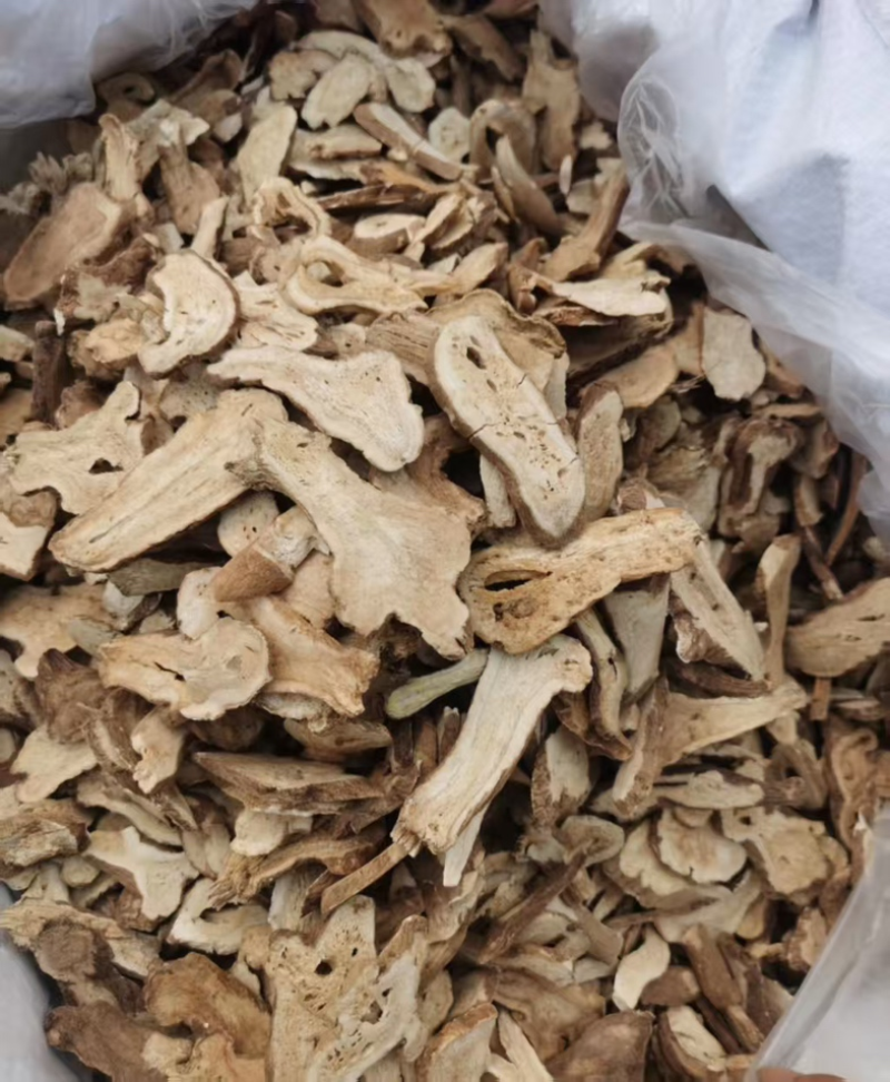 精品白术切片
