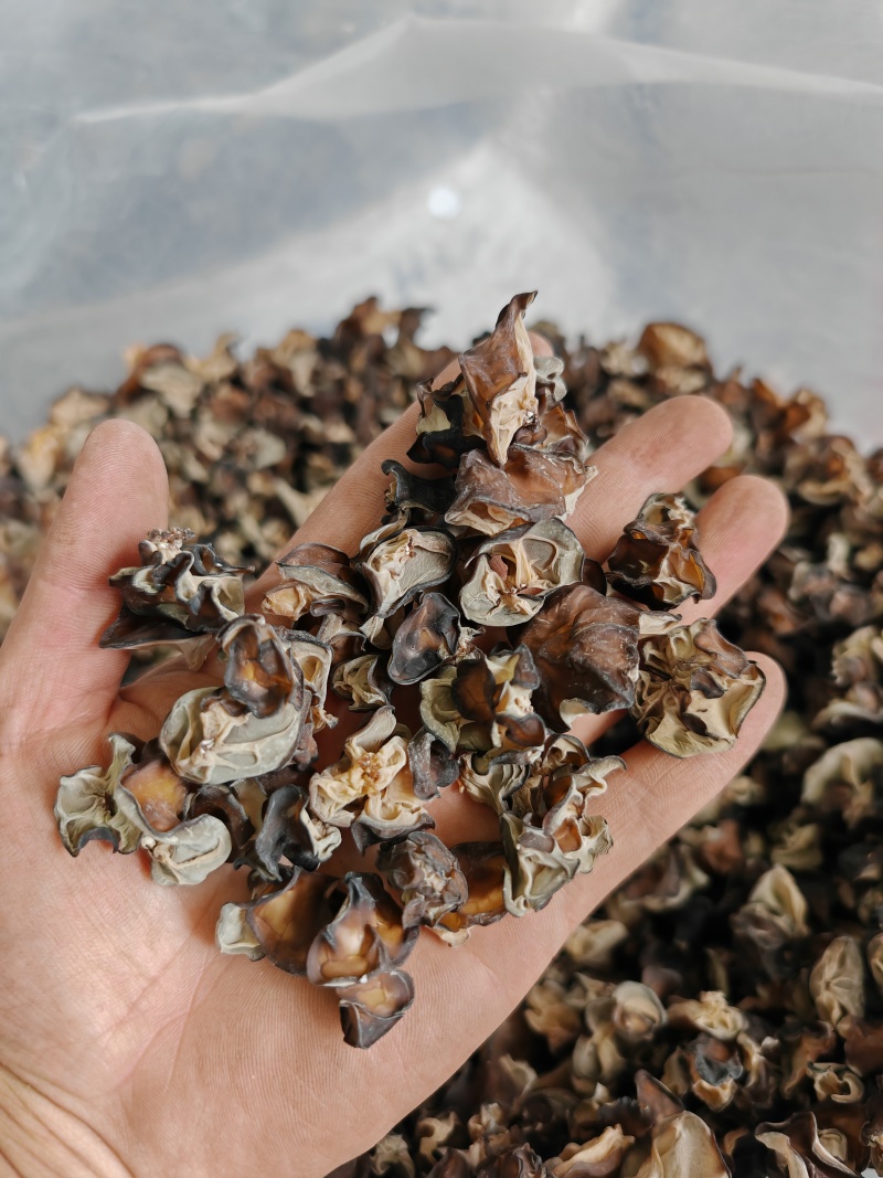 黑木耳产地直销，黑木耳黄片，黄木耳