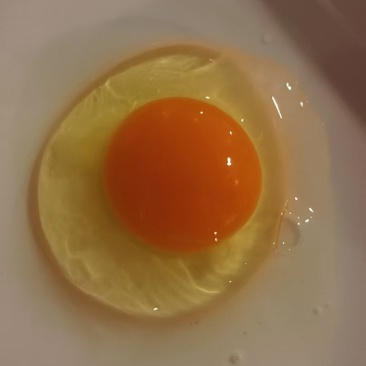 粉壳鸡蛋360枚整箱销售50箱起可视频看货量大从优