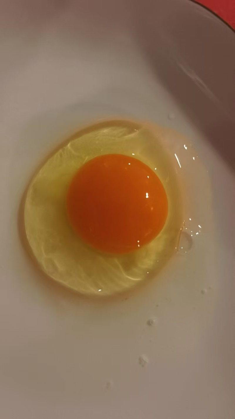 粉壳鸡蛋360枚整箱销售50箱起可视频看货量大从优