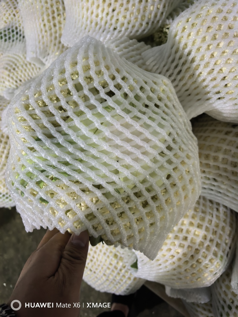 精品预冷有机花便宜出了