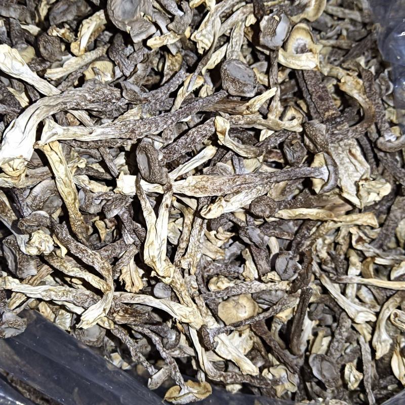 鹿茸菇产地直发，酒店，地摊，电商一件代发