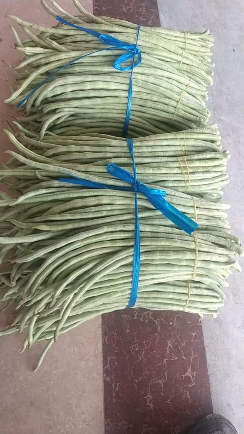 青甜豆角品质保证服务周到产地直发价格美丽欢迎联系