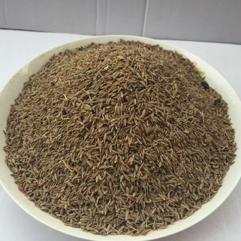 沙雅县毛货孜然200吨现货