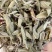 批发鼠尾草50斤/件统货带梗20元/斤***********