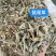 批发鼠尾草50斤/件统货带梗20元/斤***********