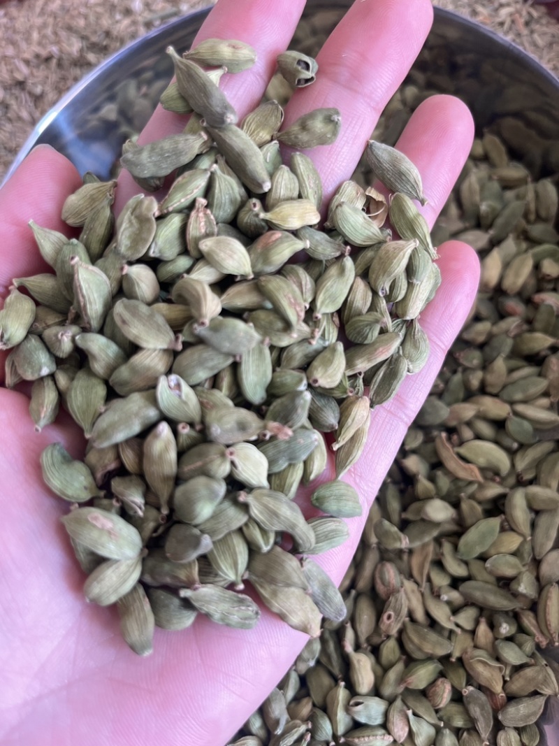 绿豆蔻各规格