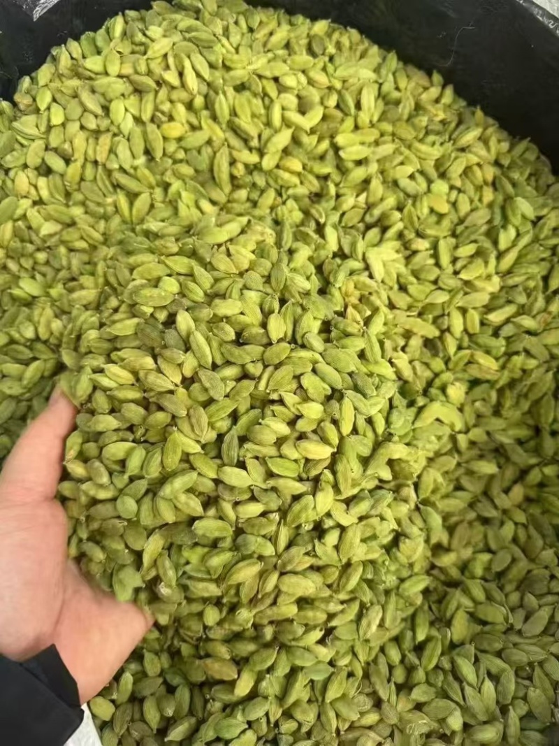 绿豆蔻各规格