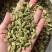 绿豆蔻各规格