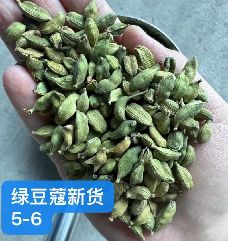 绿豆蔻各规格