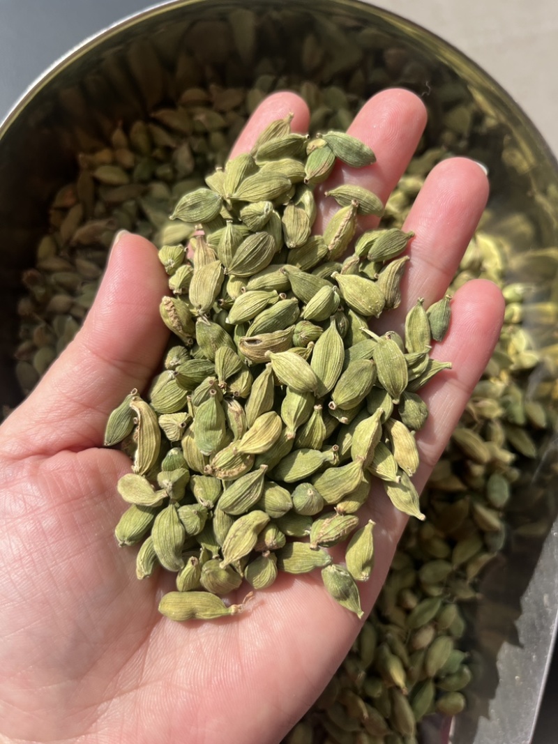 绿豆蔻各规格