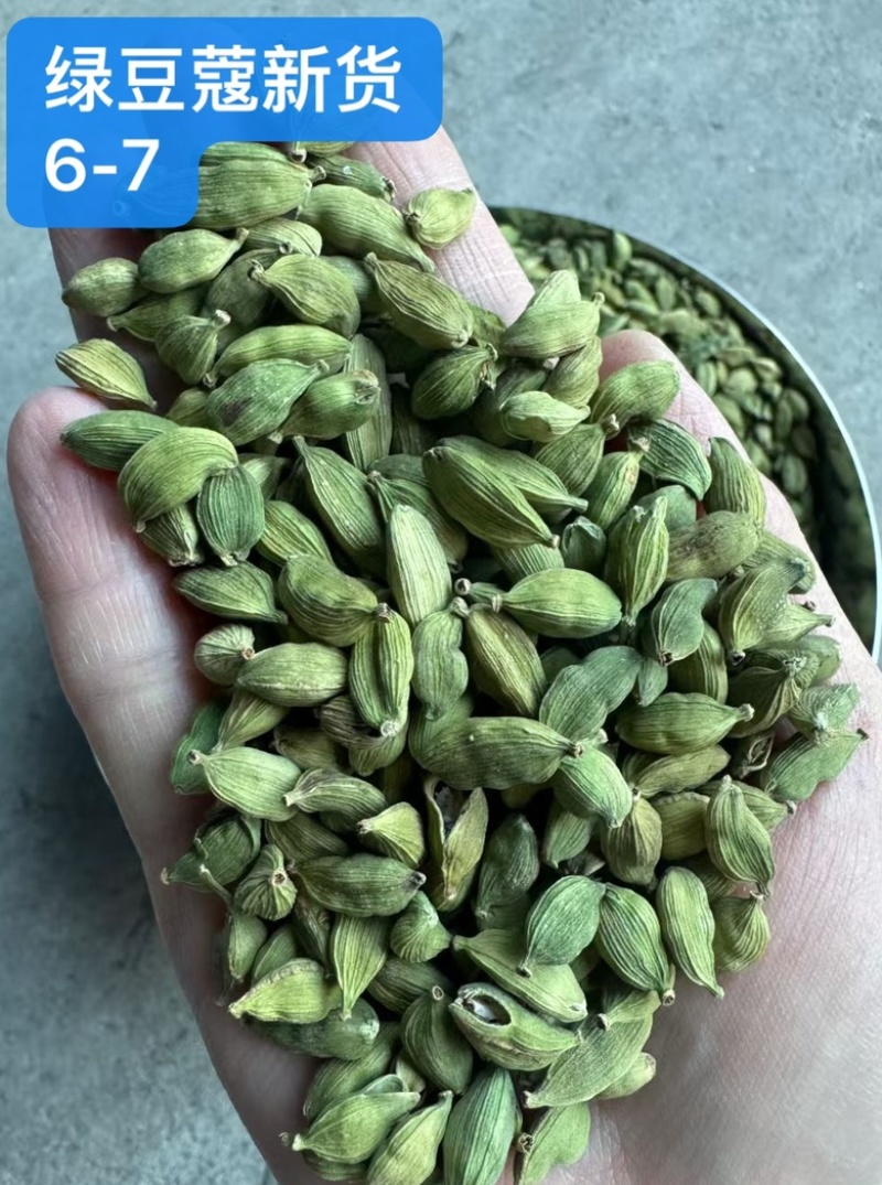 绿豆蔻各规格