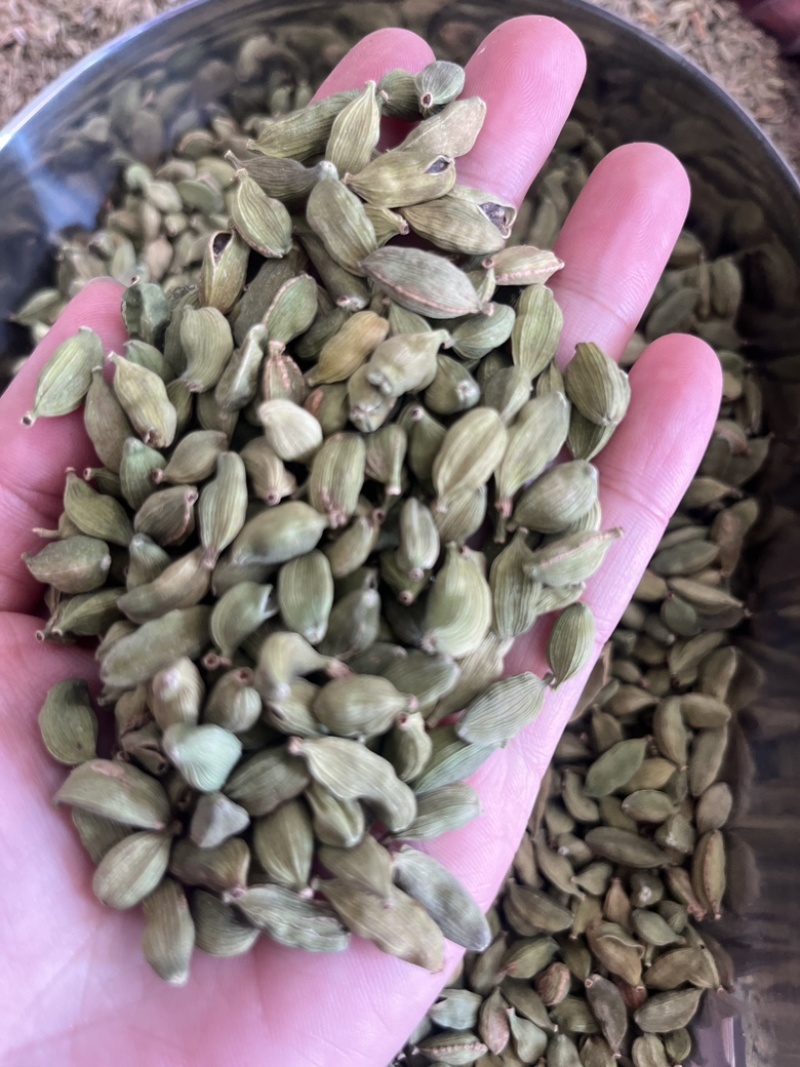绿豆蔻各规格
