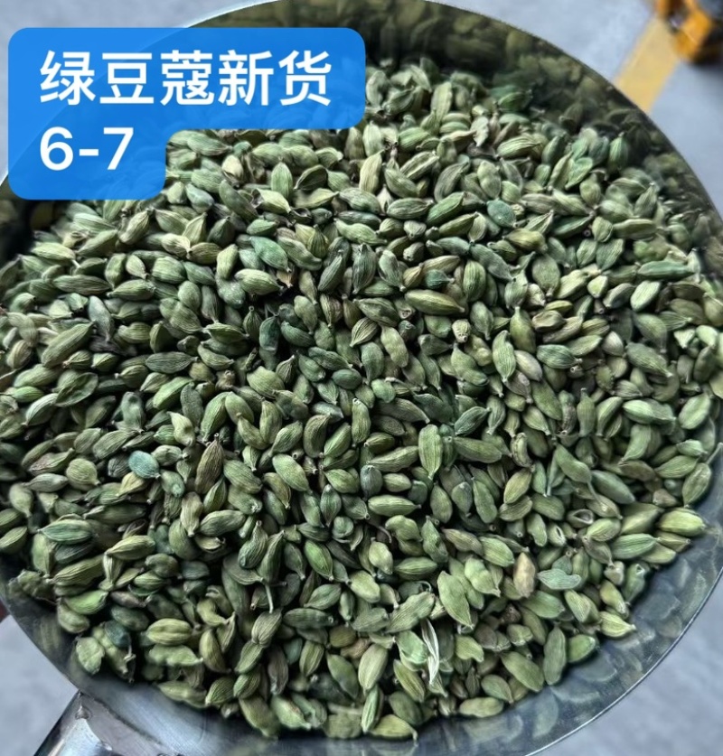 绿豆蔻各规格