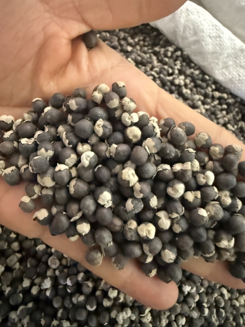 蔓荆子蔓青子蔓荆籽无硫中药材量大包邮蔓荆子无硫中药材