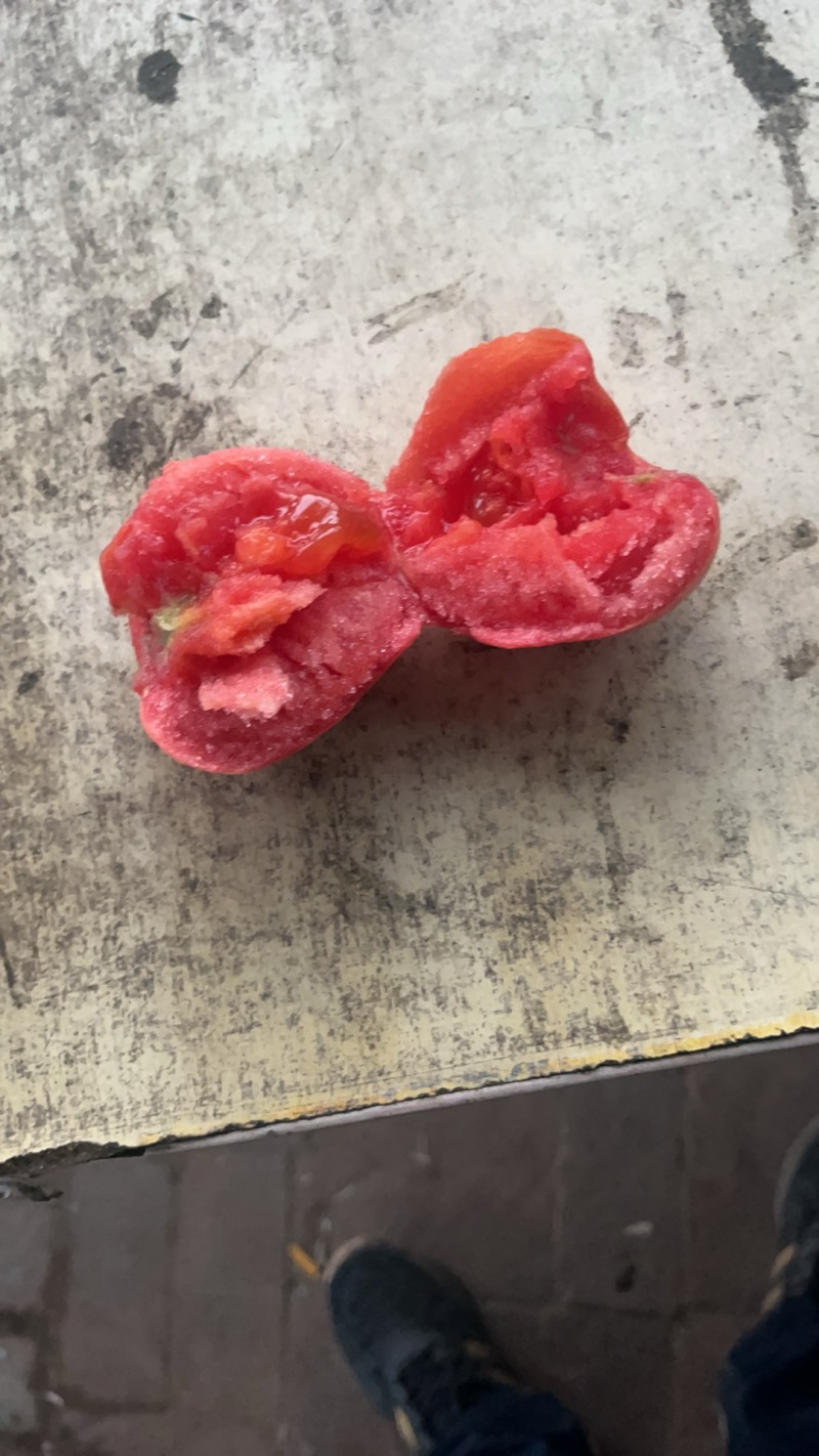 西红柿，**质量，硬度好，果行好，代发全国各地，各种包装