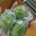 广东香水柠檬，电商一件代发，价格美丽，欢迎来电洽谈合作。