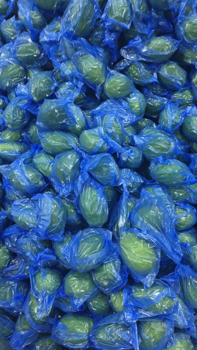 香水柠檬，广东自有产地，工厂分选，对接全国合作供应。