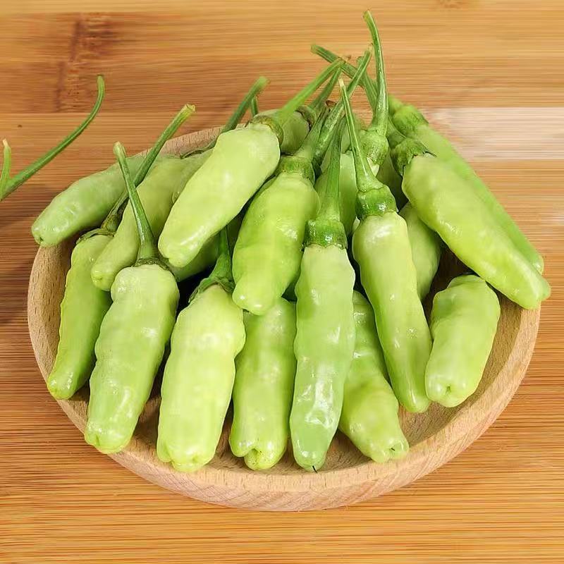 精品白米椒自家种植一件代发快递包邮品质保证