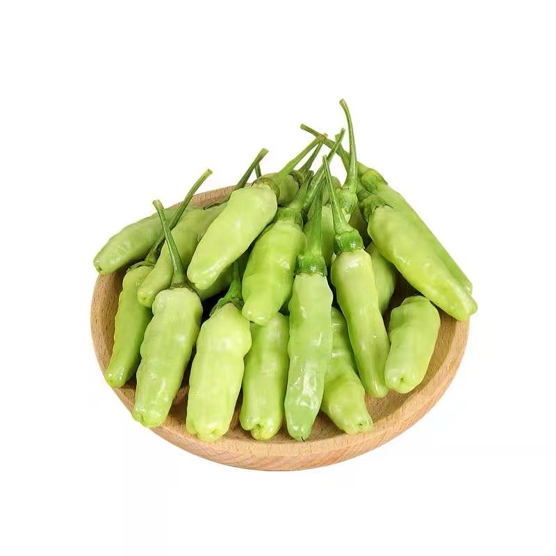 精品白米椒自家种植一件代发快递包邮品质保证