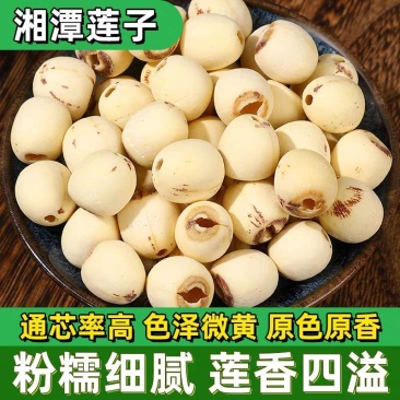 莲子湖南湘潭莲子干货去芯磨皮通心白莲子无硫