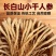 长白山足年生晒人参干参批发无硫熏原色足干药店滋补商行都可