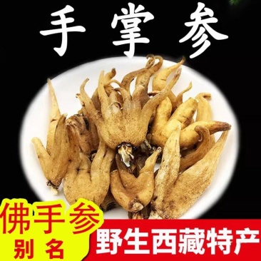 手掌参大货批发自然晾晒，无硫***足干，可零售可批发量优